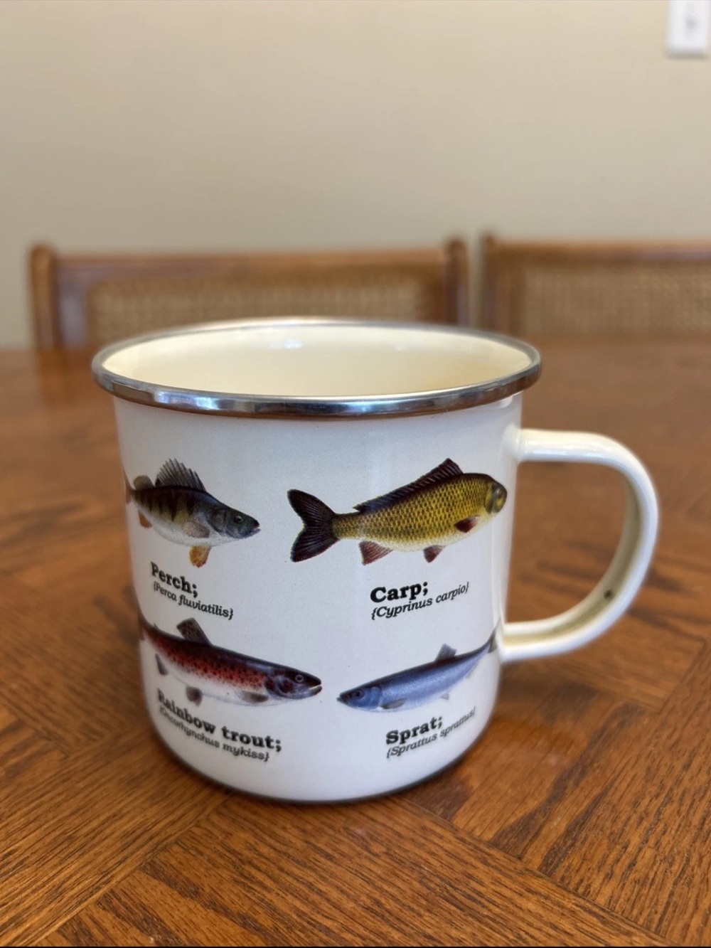 Gift Republic Enamel Mug Fish Design Scandi Coffee Cup